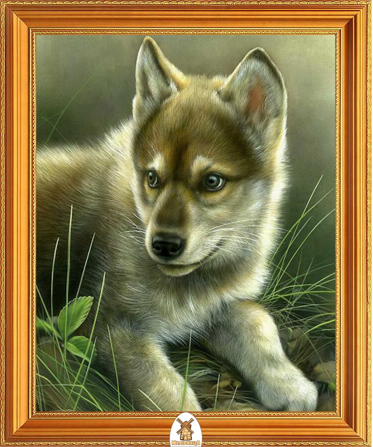 Милые волчата