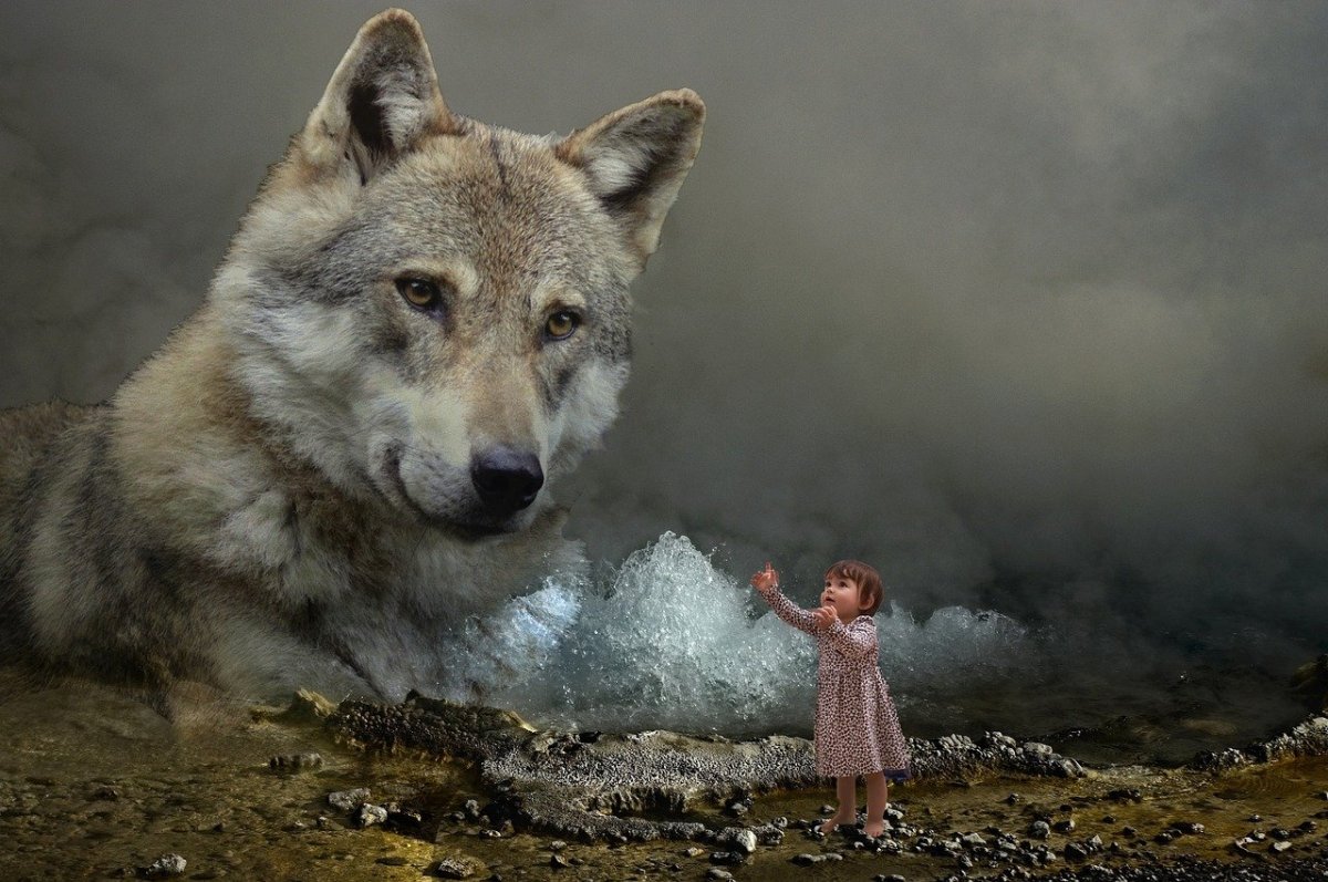 Волк добрый и злой