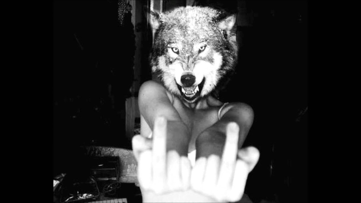 Аватарка человек волк