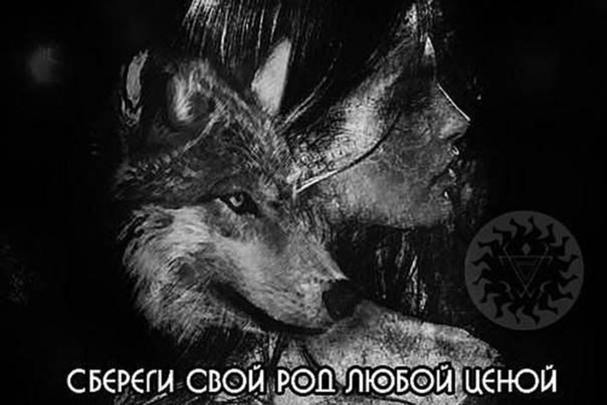 Пол лица волка