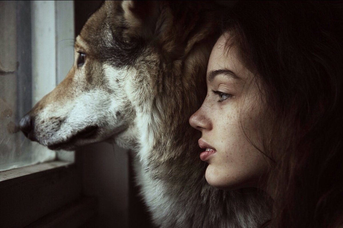 Алессио Альби волки