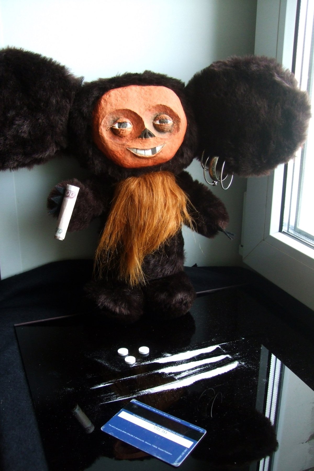 Чебурашка и крокодил Гена в реальной жизни