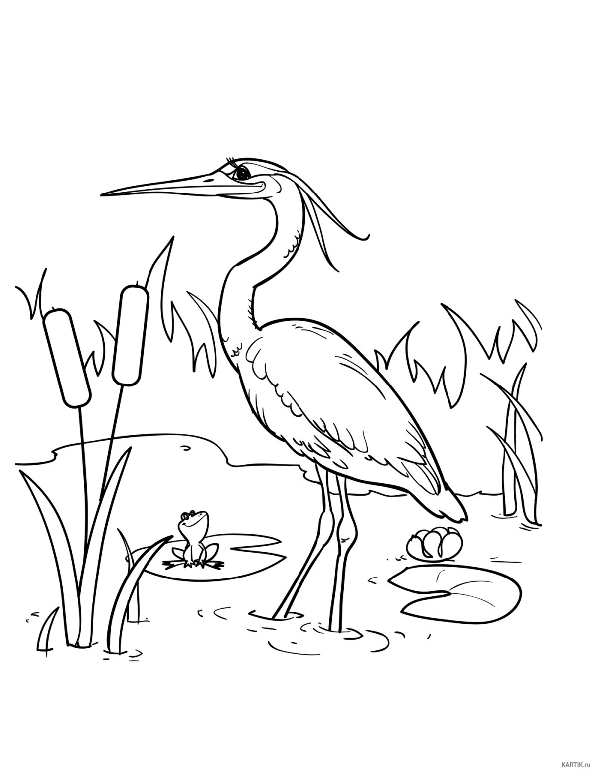 Цапля раскраска для детей