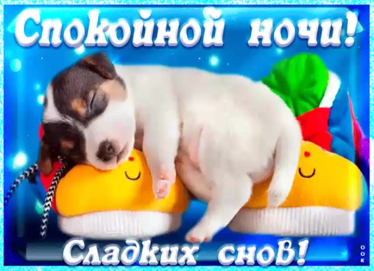 Спокойной ночи цитаты