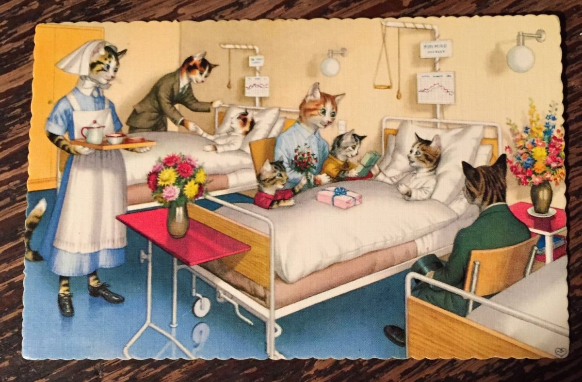 Котик доктор