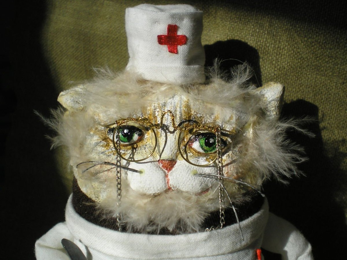 Деловой кот