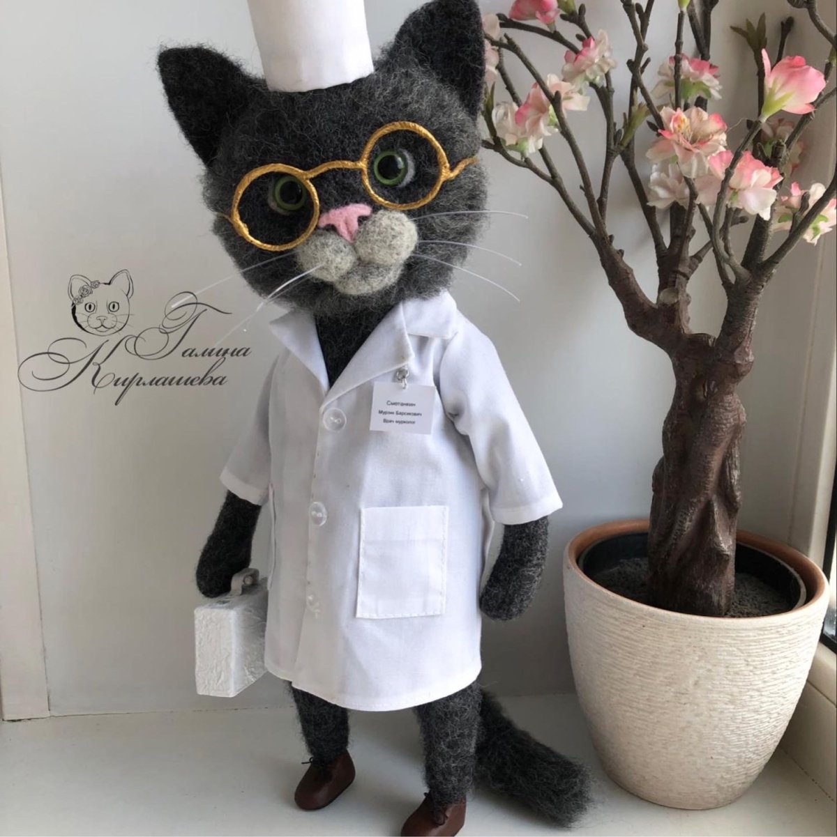 Кот ветеринар смешное