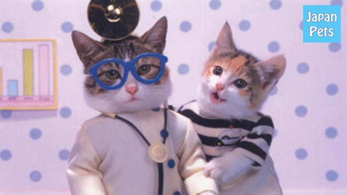 Бурундук врач