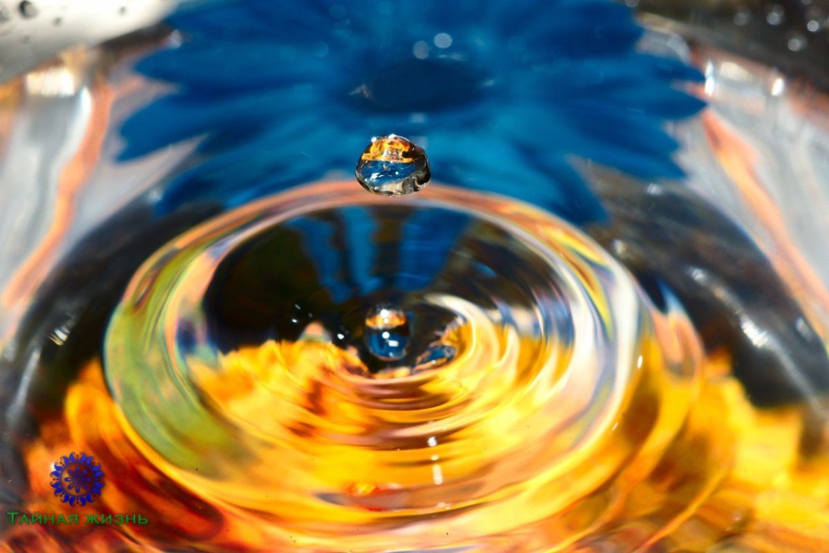 Целительная сила воды