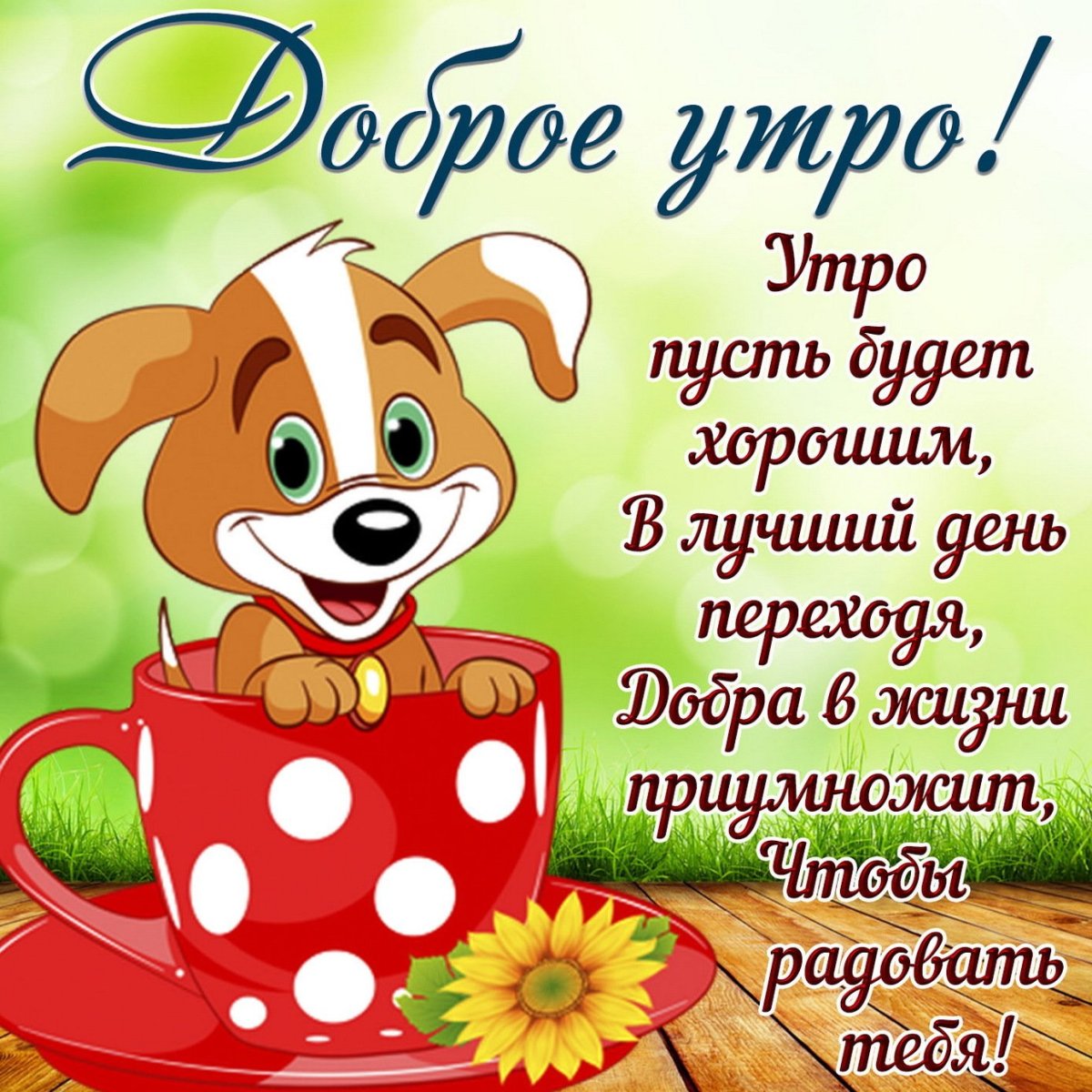 Открытки с добрым утром прикольные