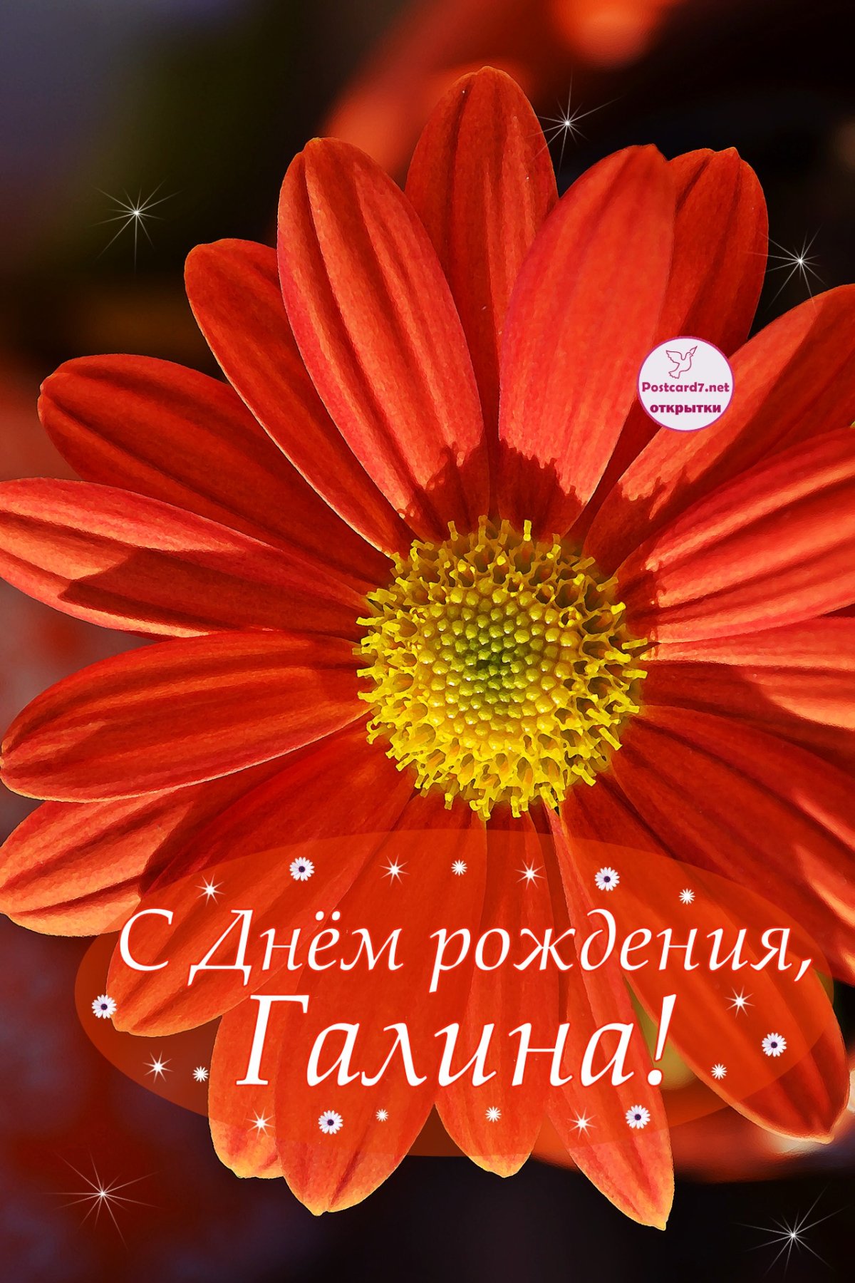 Поздравления с днём рождения Галине