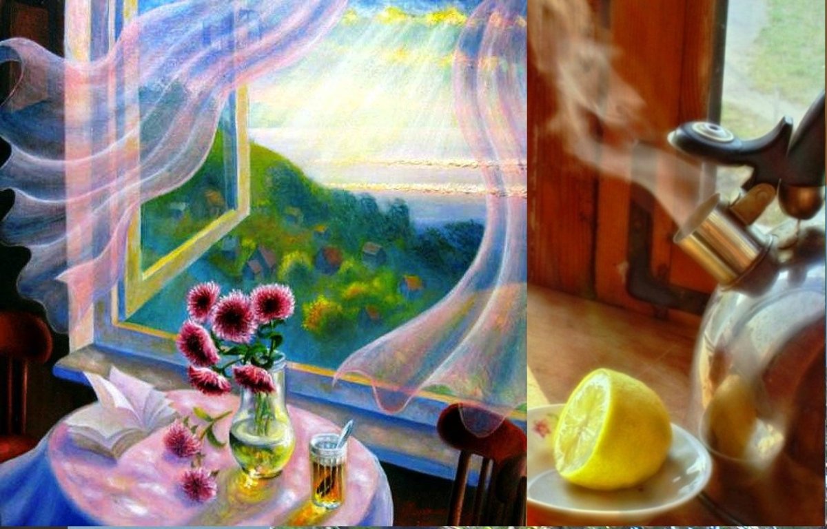 Сова пьет чай