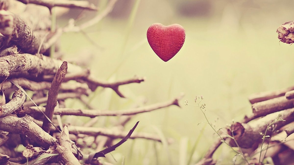 Ветка с сердечками