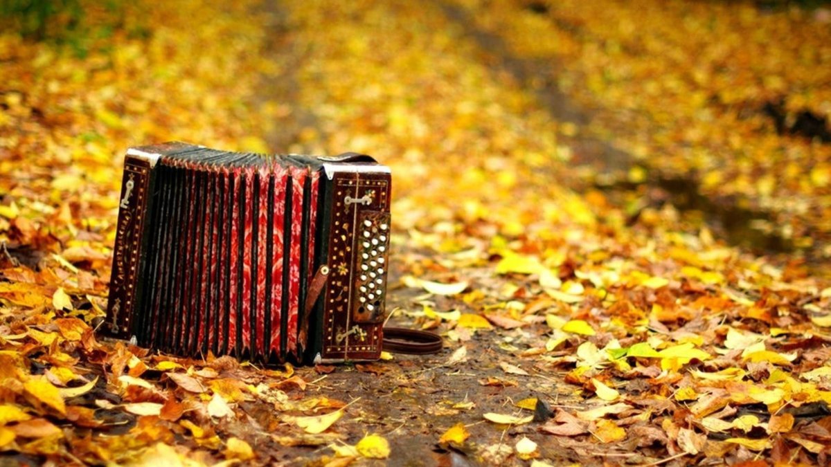 Осенний аккордеон