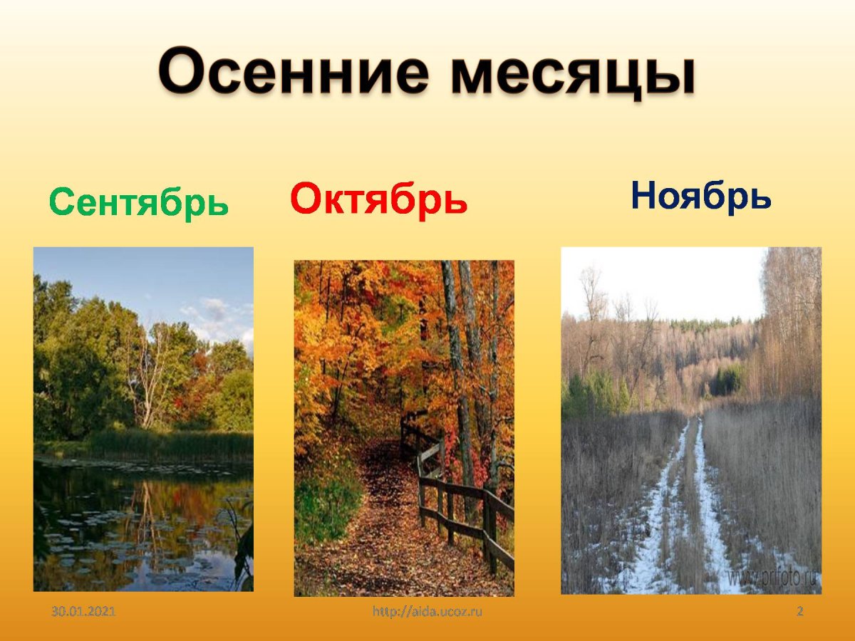 Три месяца осени