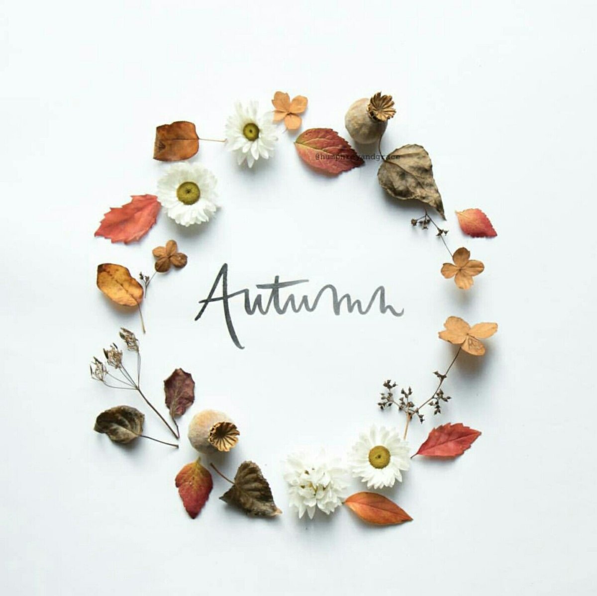 Осенние обложки для актуальных