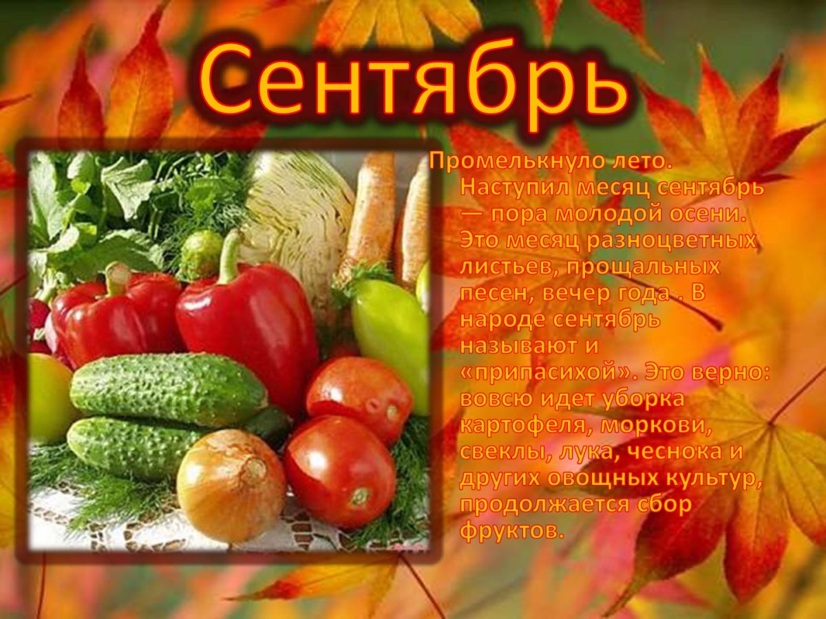 Осенние месяцы сентябрь