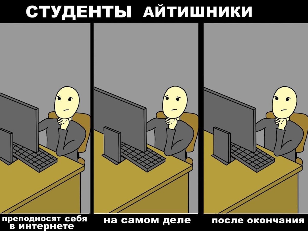 Приколы про студентов программистов