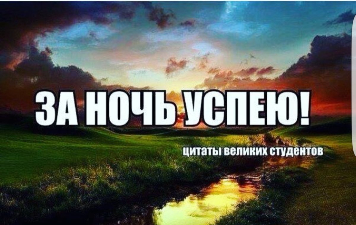 За ночь успею цитаты великих студентов