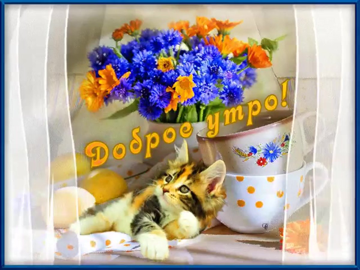 Открытки добрый вечер