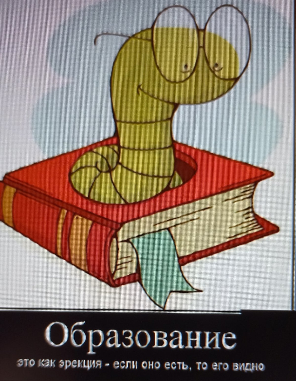 Образование юмор