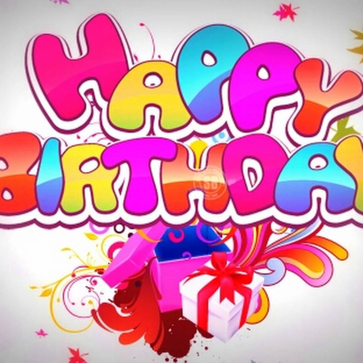 Кот поздравляет