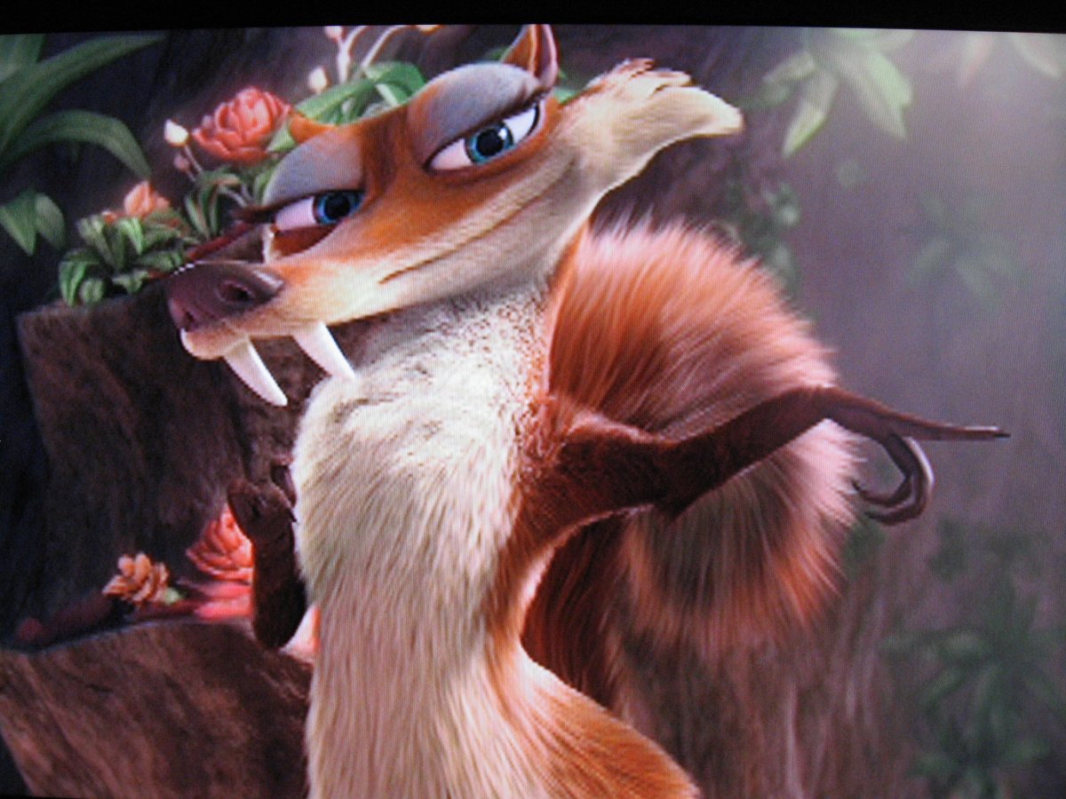 Ледниковый период Скрэтти