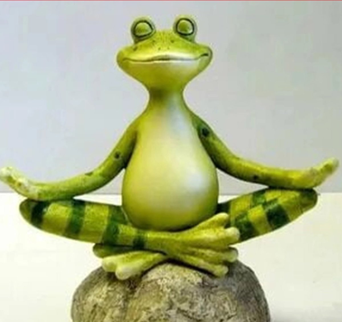 Лягушка медитирует