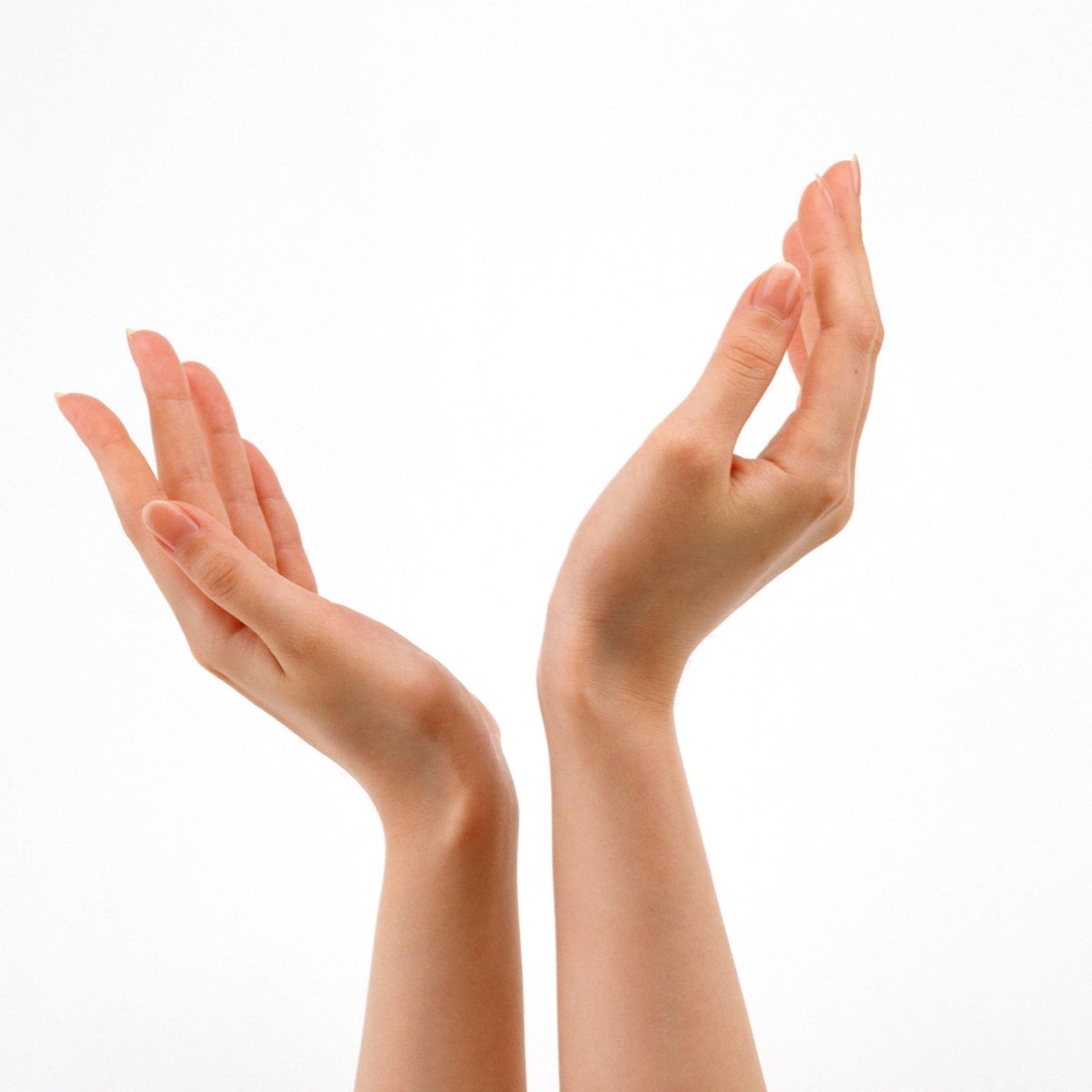 Женская ладонь