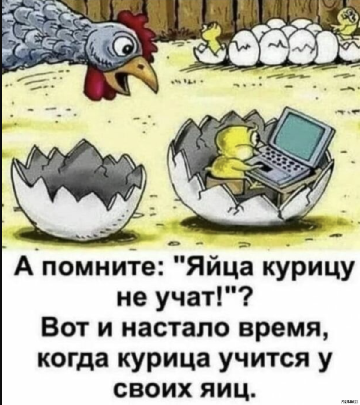 Наклейки "цыпленок"