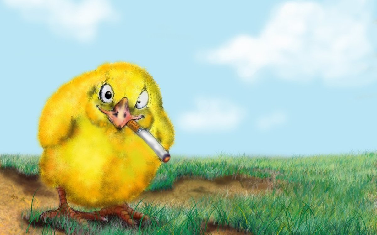 Упорство главное качество определяющее успех в жизни