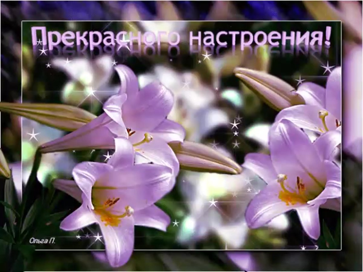 Солнечногоднч и хорошего настроения