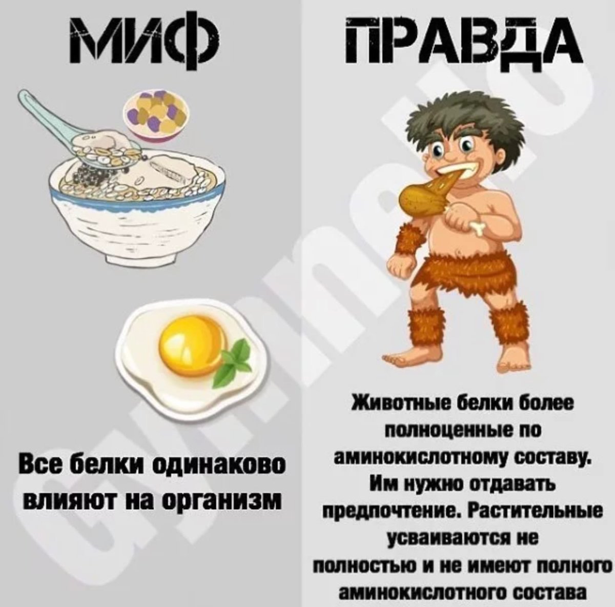 Мифы о питании