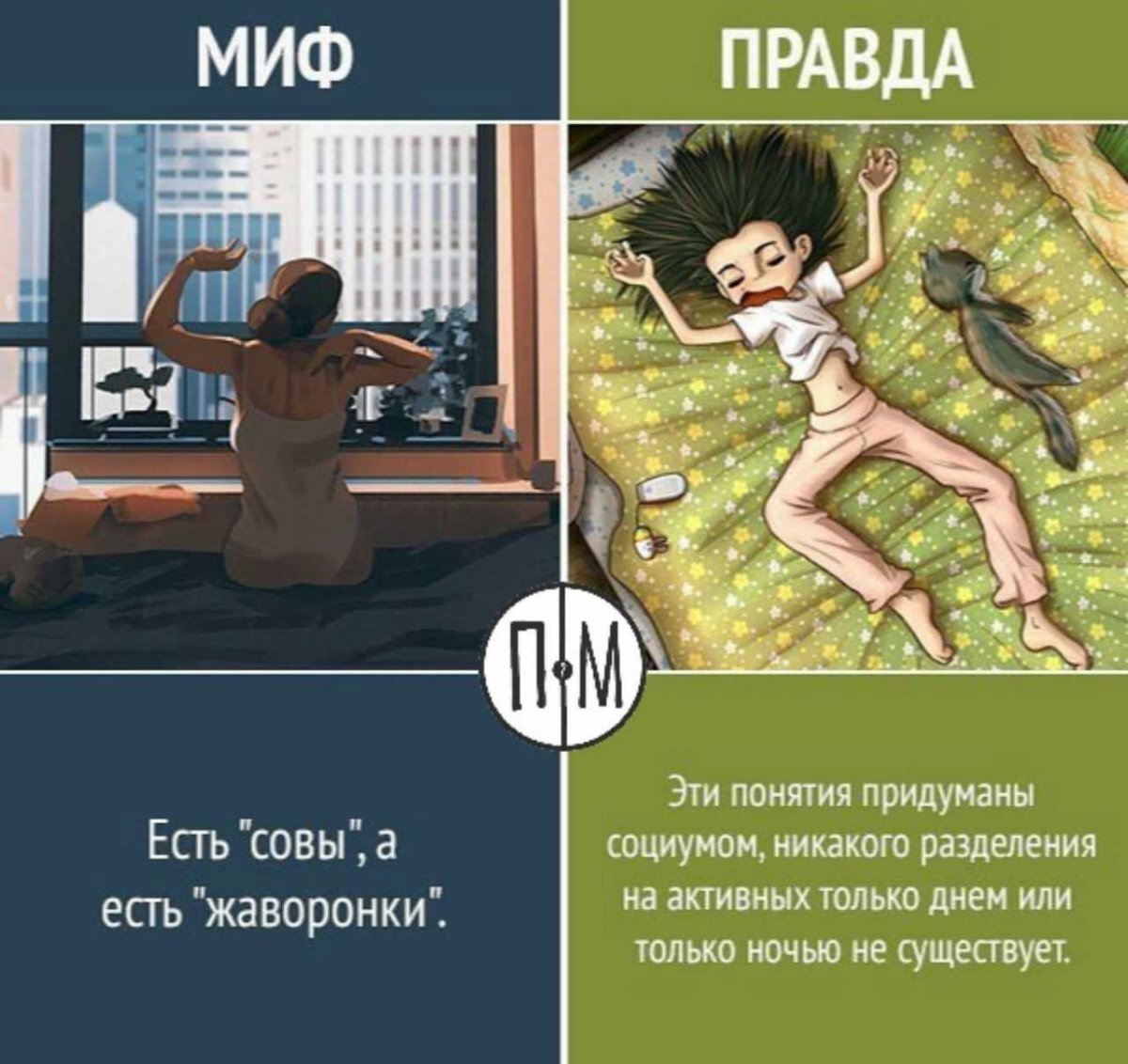 Миф правда Мем