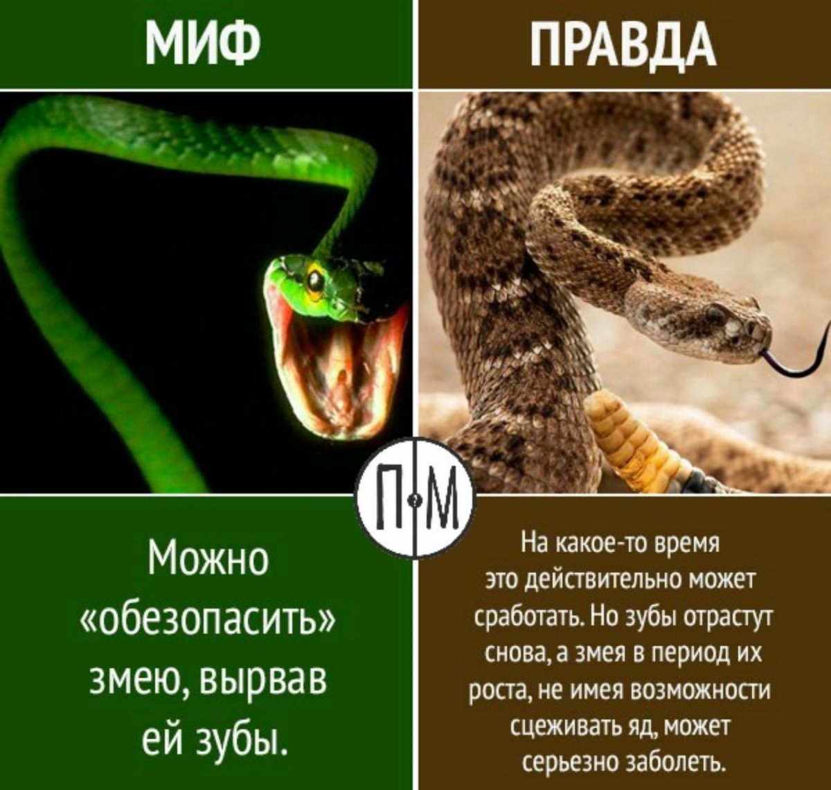 Правда или миф