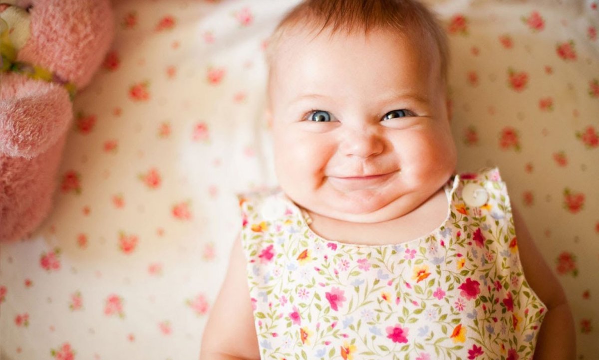 Прогулка с собакой юмор