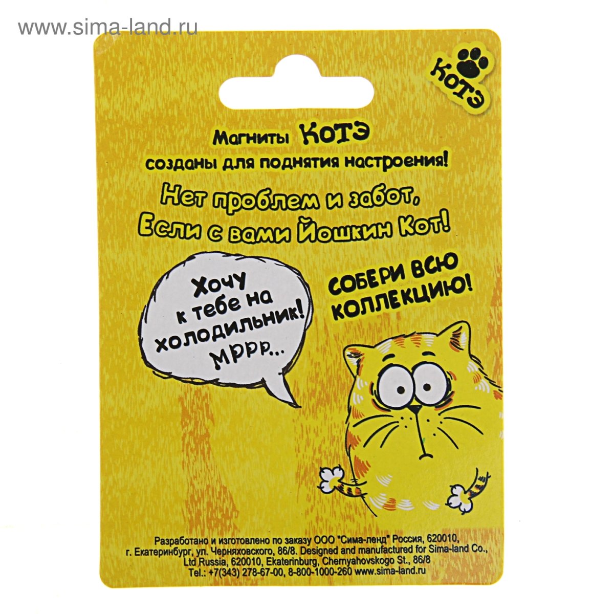 Забавные животные для поднятия настроения