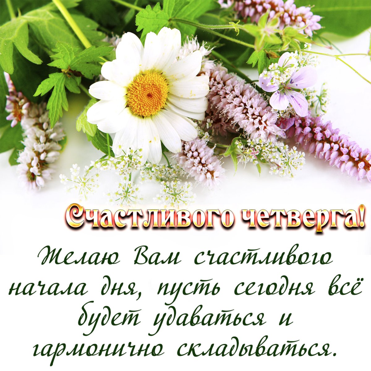 Доброе утро четверга пожелания