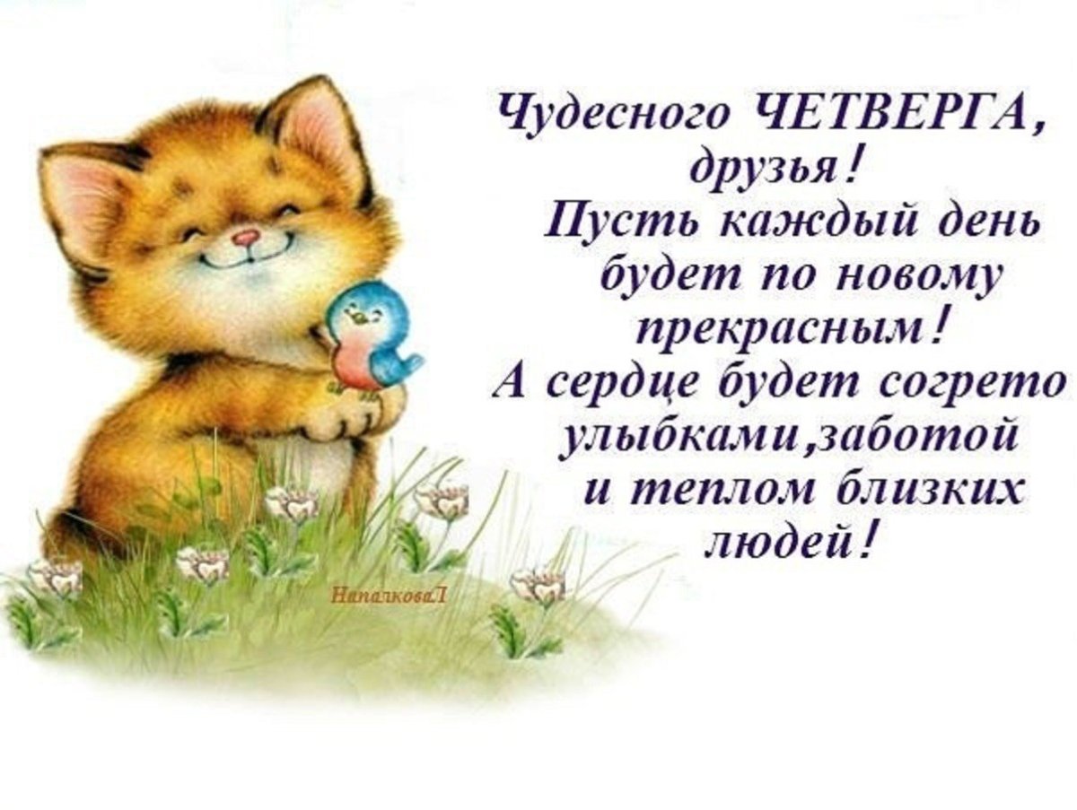 Хорошего четверга и отличного настроения