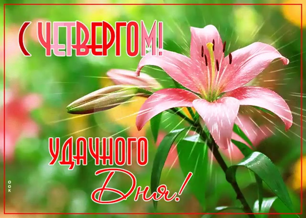 Доброе утро четверга