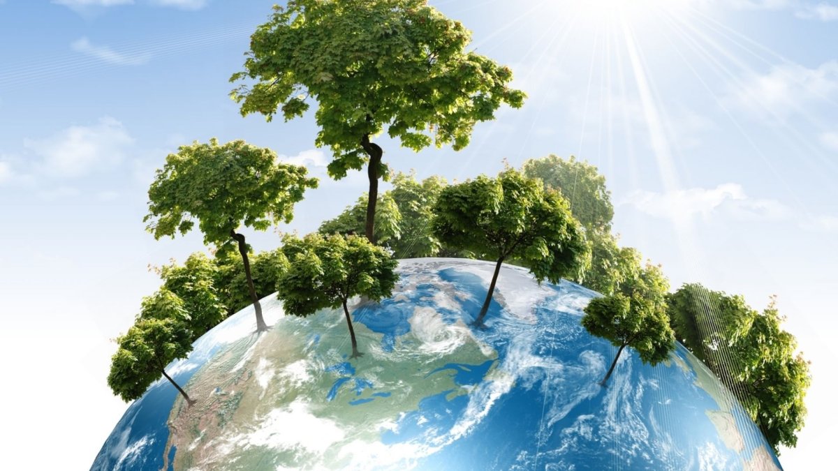 Биосфера это в экологии