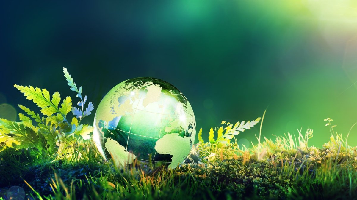 Природа экология