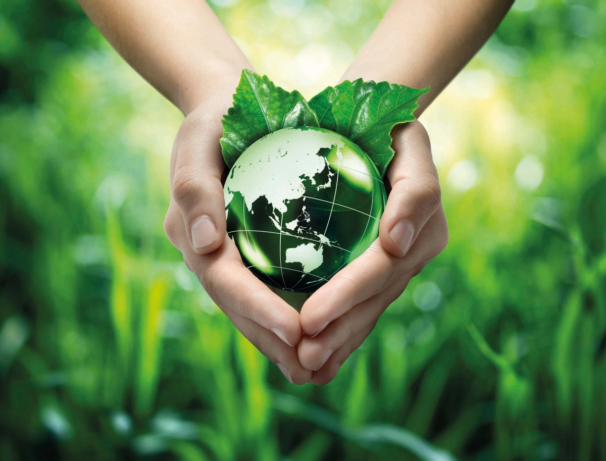 Сохранение природы