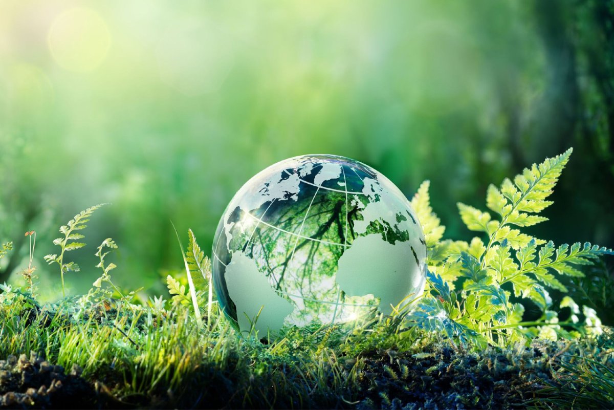 Всемирный день окружающей среды