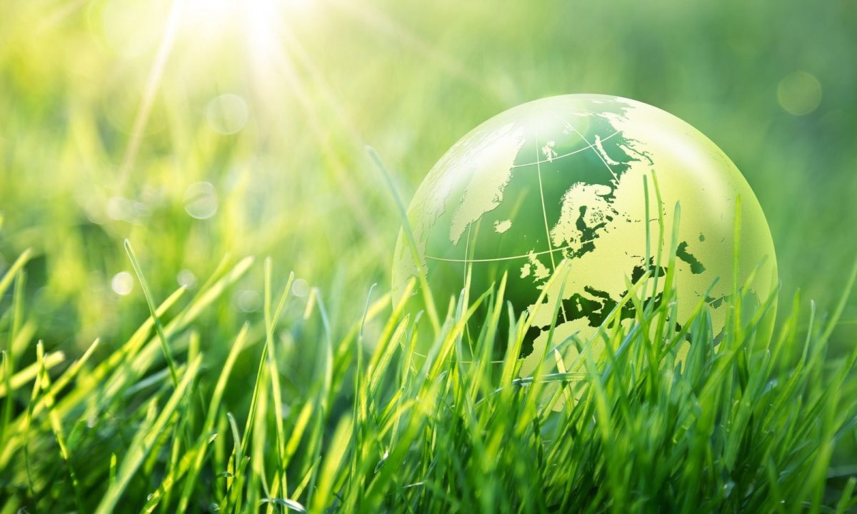 Картинки природы для презентации