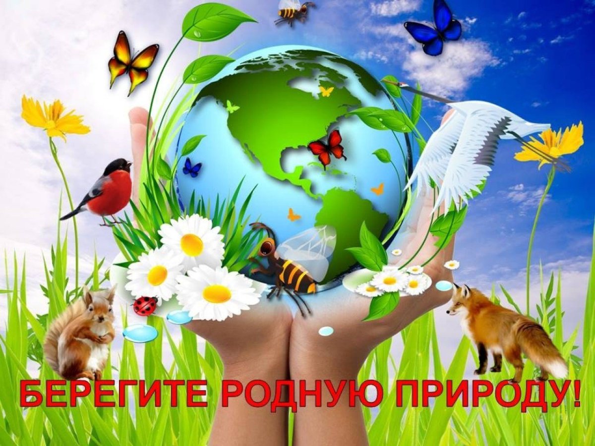 Экологическая обложка