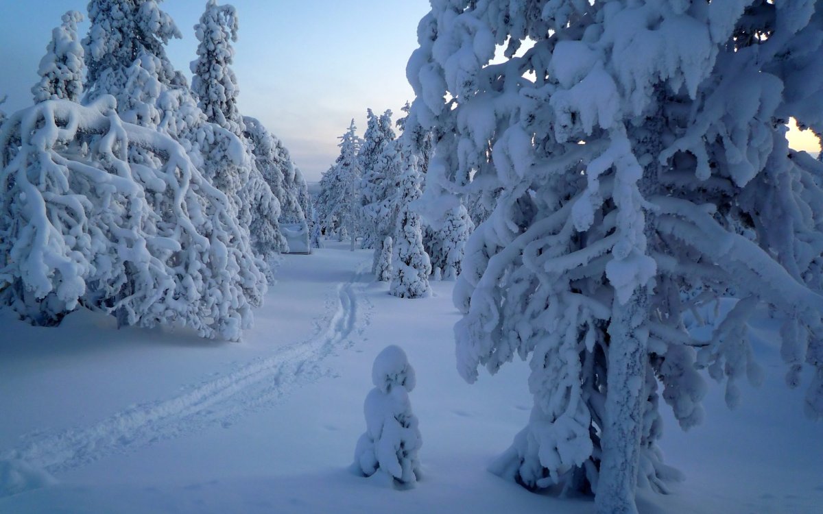 Снежная зима