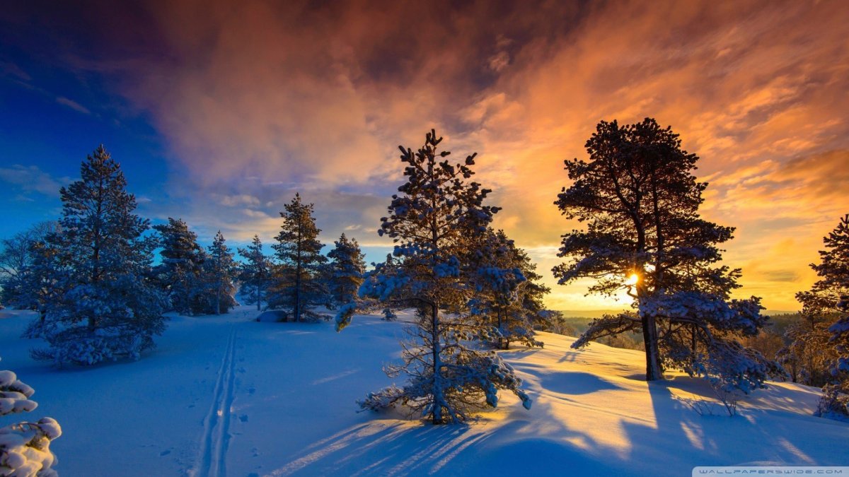 Зимний пейзаж