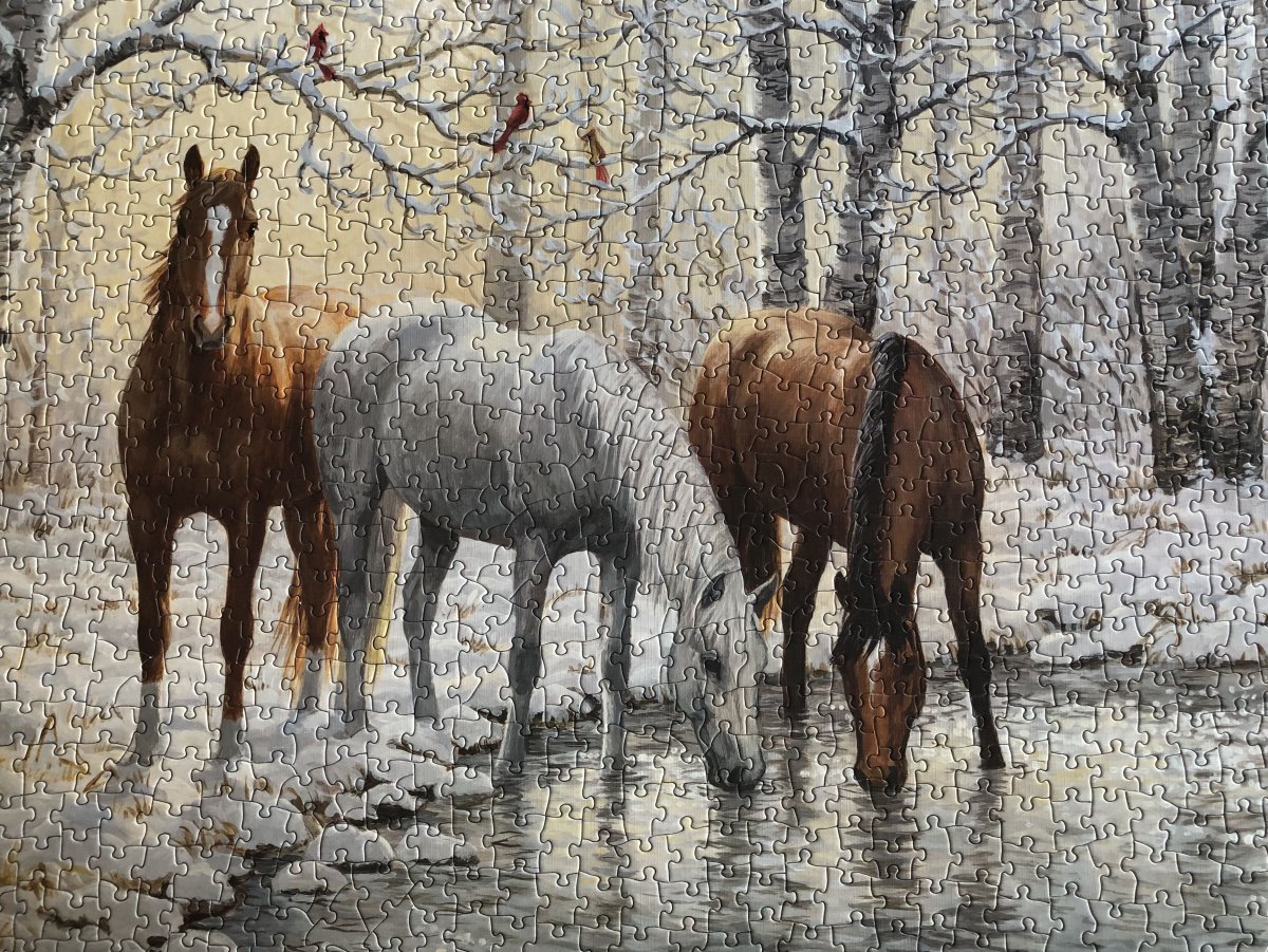 Доброе утро с лошадьми