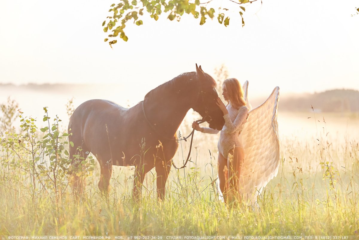 Красная лошадь